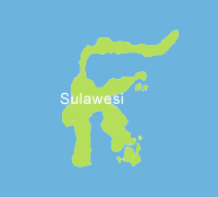 Sulawesi